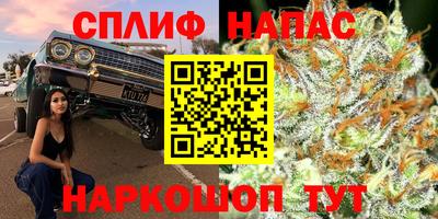 сатива Мариинск
