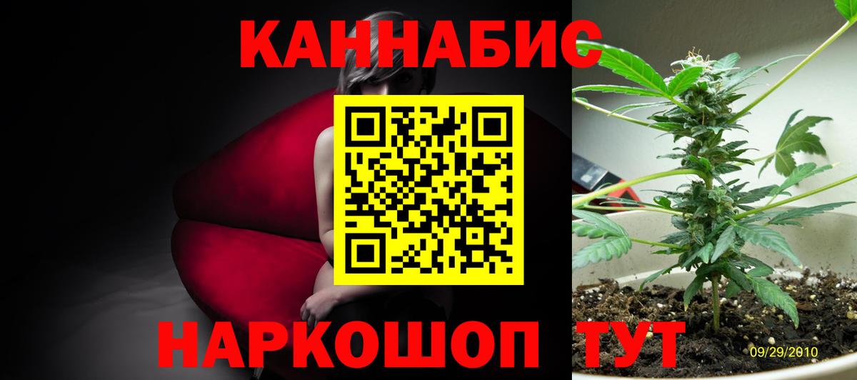 Каннабис семена Горячий Ключ